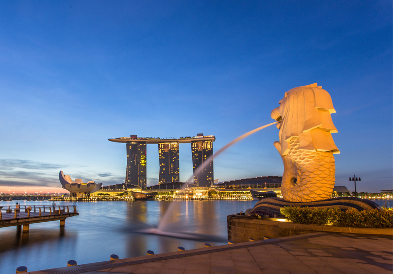 Shareholder Director