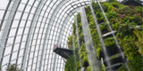 Singapore EP Visa