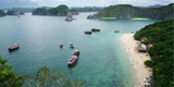 Vietnam Registered Company