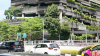 新加坡公司注册资本设1新币真的可行吗？合规门槛、开户雷区与实操建议